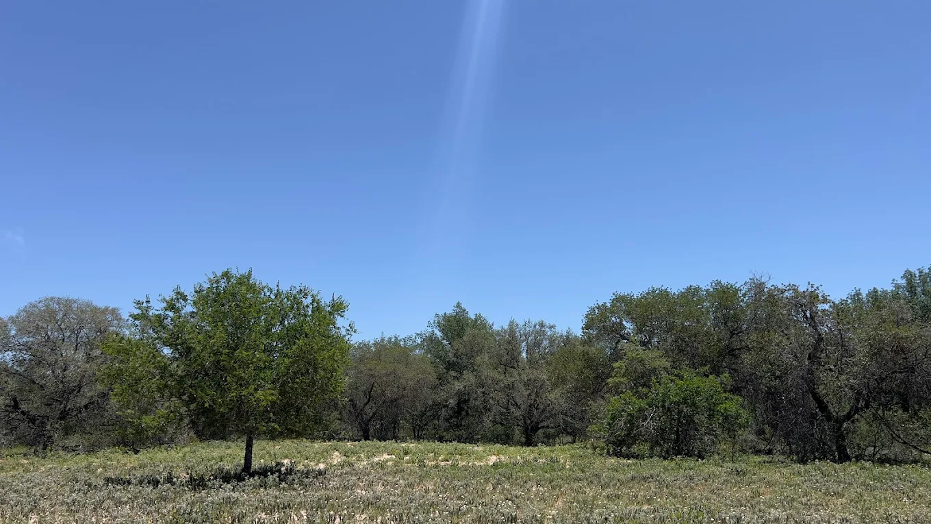 The Oaks at Waterwood community